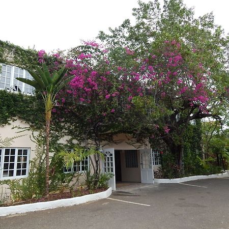 Mangos Jamaica Adults Only Hotel Falmouth Exterior photo