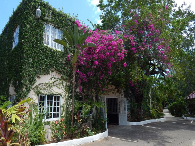 Mangos Jamaica Adults Only Hotel Falmouth Exterior photo